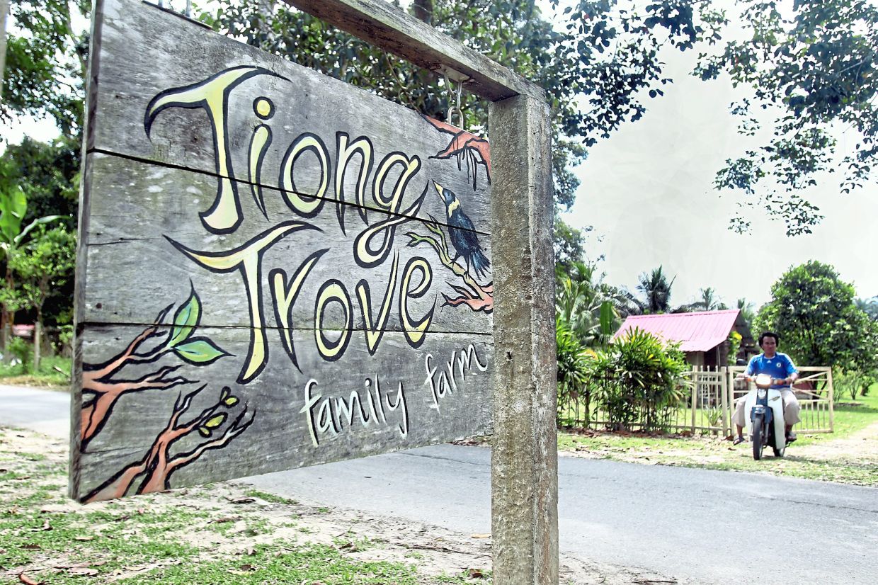 The Tiong Trove Family Farm signage that greets visitors to the property was done by Munirah’s daughter.