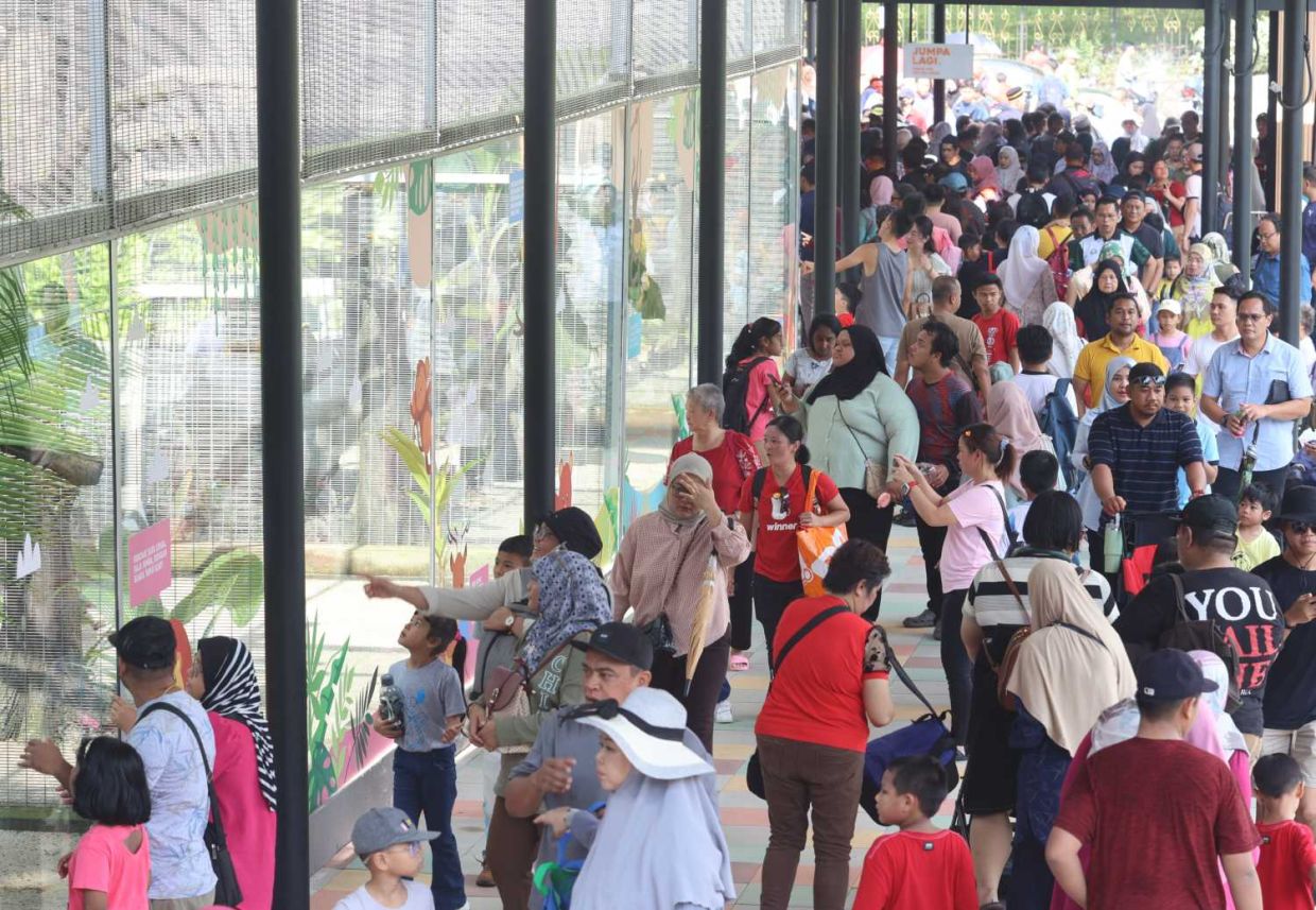 More than 10,000 crowd is expected to visit the Johor Zoo on the first day of its reopening. — THOMAS YONG/The Star