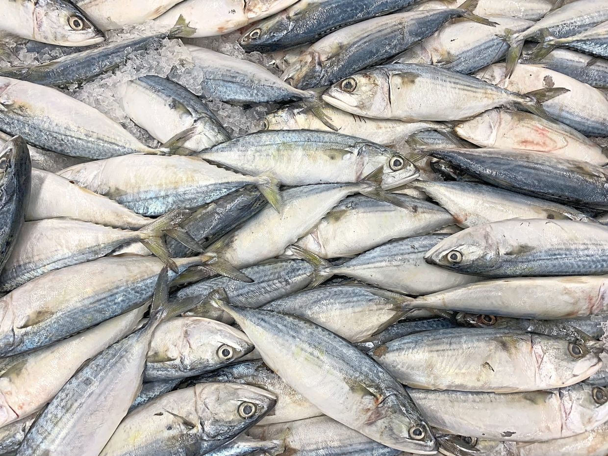 ikan kembung, beef, round cabbage and sawi, infant formula. (05/8/2019/ s.s.Kanesan/The Star)