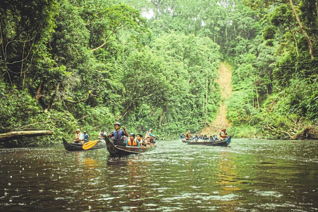 The tourists enjoying the beauty ofTaman Negara during their river cruise session.