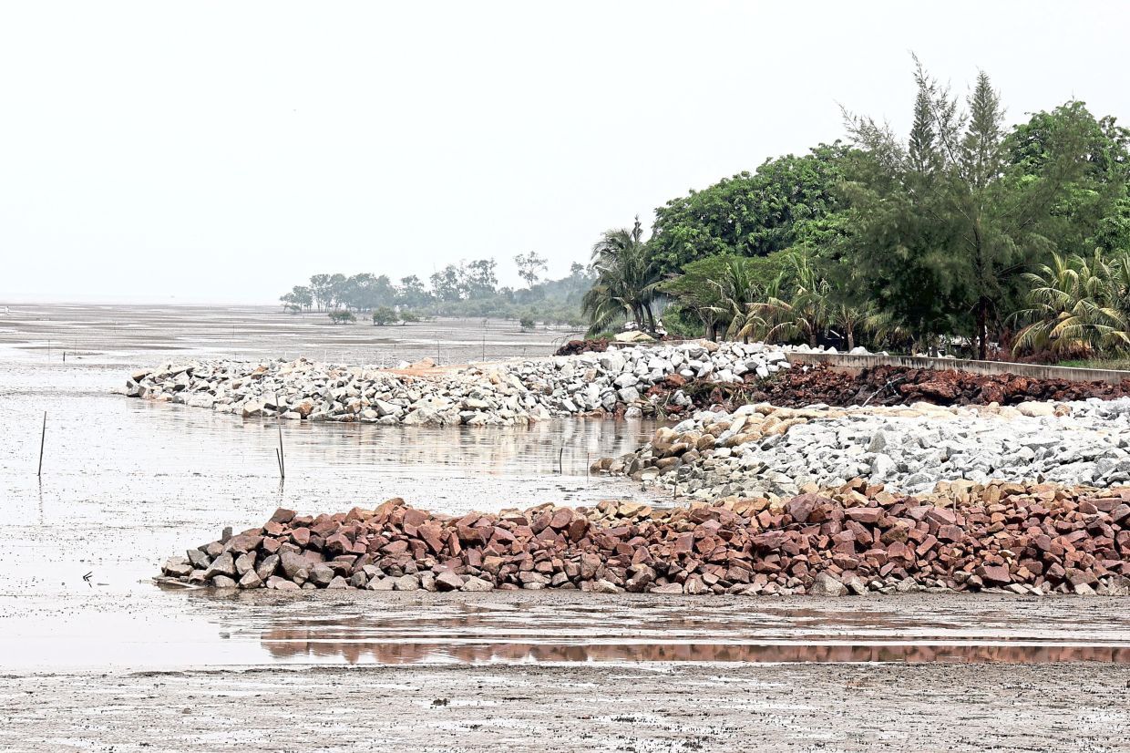 A wall going to built by MPKL to mitigate floods. Mangrove experts claim it was bad for the environment and the Orang Asli community fear that it would affect their livelihood in Pantai Cunang. (MAY 11 2025) — ART CHEN/The StarReporter: VIJENTHI