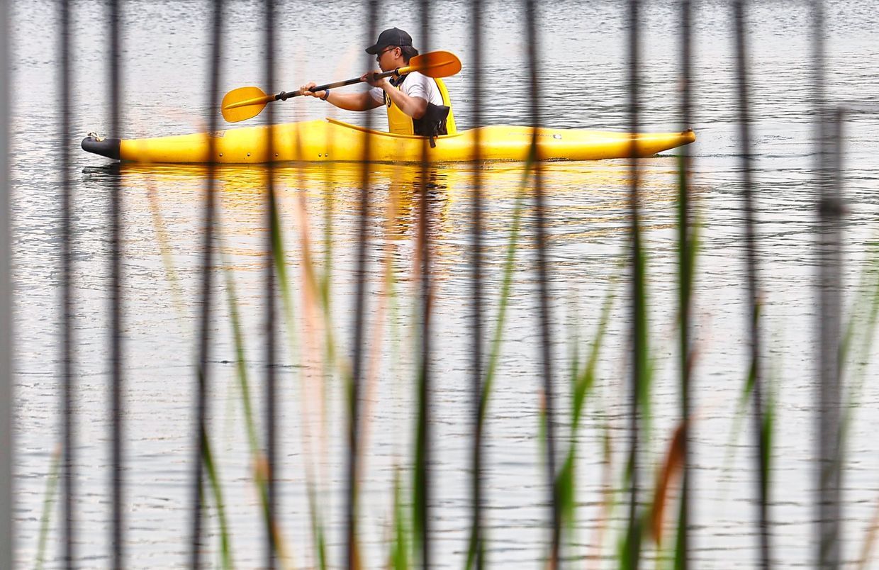 A lively scene of people kayaking on a calm lake. The participants are spread across the water, each in their own brightly colored kayak—mainly yellow, red, and orange. Everyone is equipped with life jackets and paddles, and some are seen paddling in pairs, indicating either teamwork or guided sessions. This photo, taken at Taman Tasik Titiwangsa in Kuala Lumpur.The background features lush greenery with tall palm trees, well-maintained bushes, and some buildings partially visible through the trees, which reflects the park’s blend of urban and natural elements. The lake water is calm with slight ripples, and safety features like buoys and a life ring can also be seen, emphasizing a safe recreational environment.Overall, the image showcases a vibrant and active outdoor activity in one of Kuala Lumpur’s popular recreational parks, where people enjoy kayaking in a safe, scenic, and serene environment. — FAIHAN GHANI/The Star