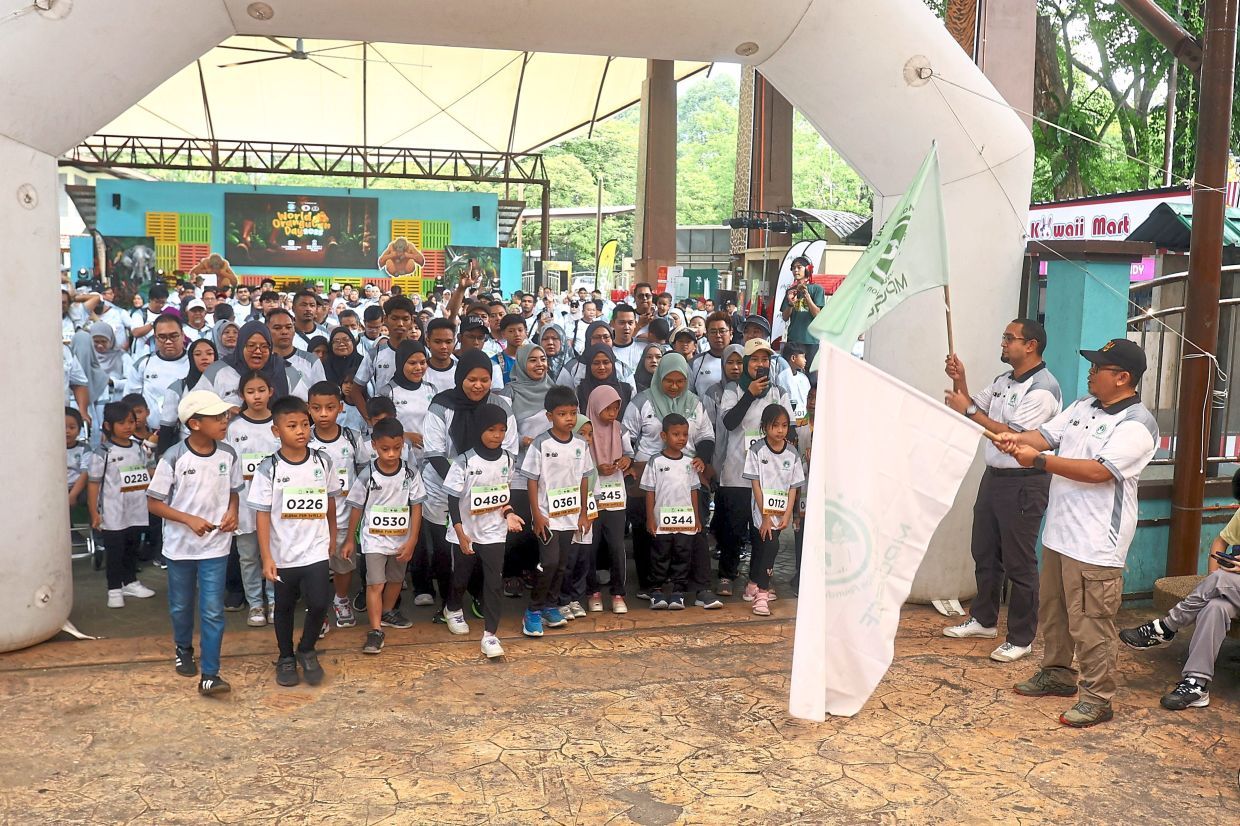 Participants joining in the Funwalk session at the Taiping Zoo in conjunction of the World Orang Utan's Day ..--(3rd November 2025)--RONNIE CHIN/The Star
