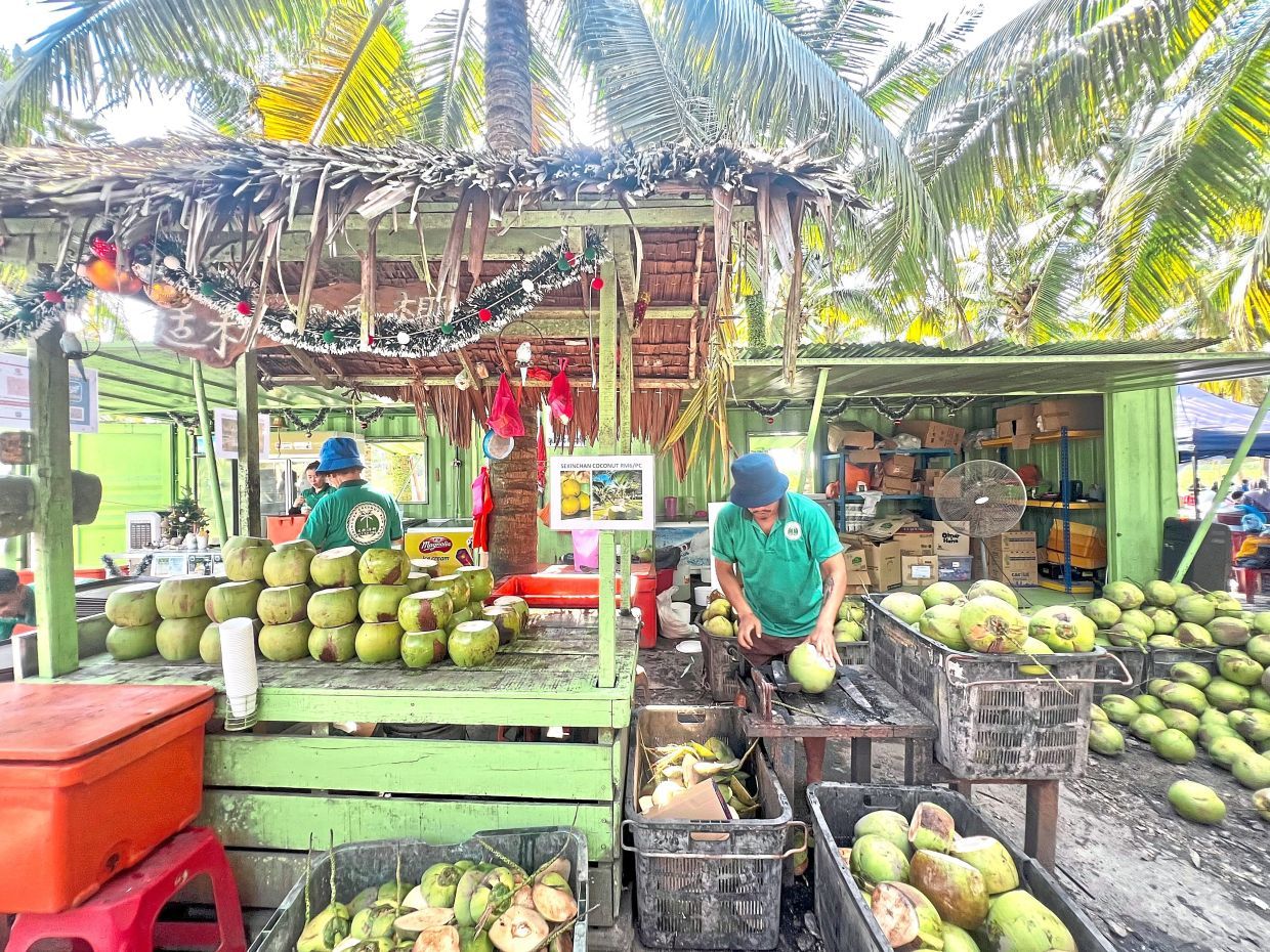 Head to the Coconut Farm for a refreshing coconut beverage.