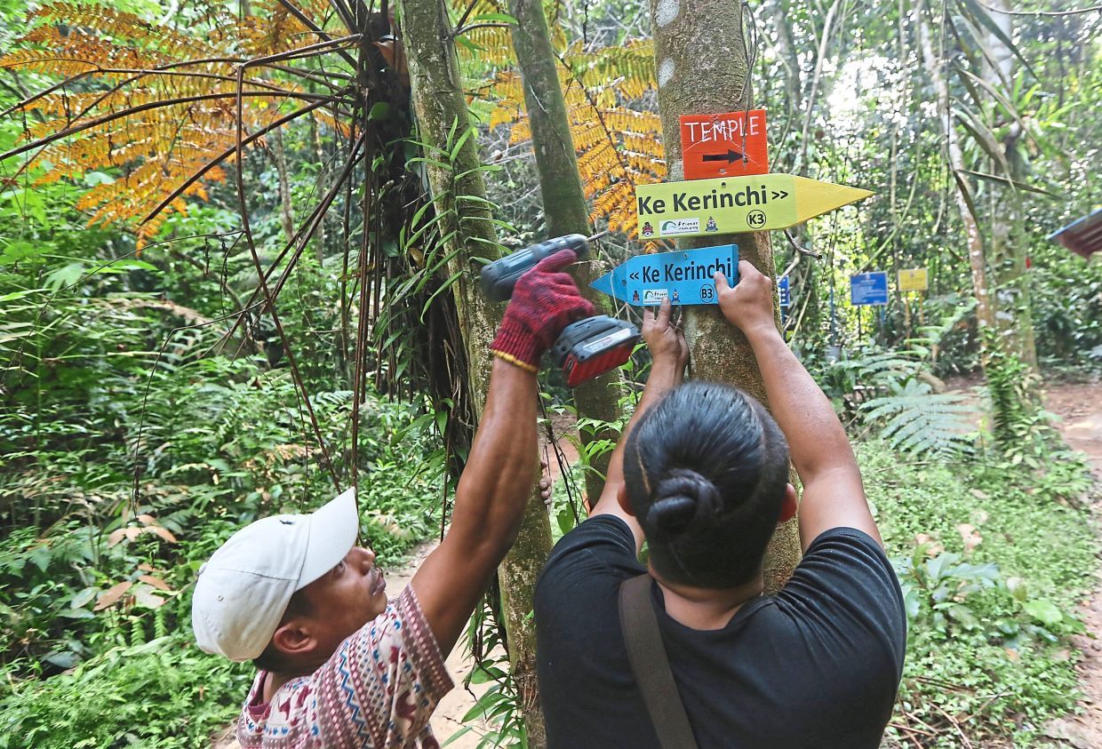 The Friends of Bukit Gasing marking the hill trails with handmade wooden markers. IZZRAFIQ ALIAS / The Star. September 8, 2019.