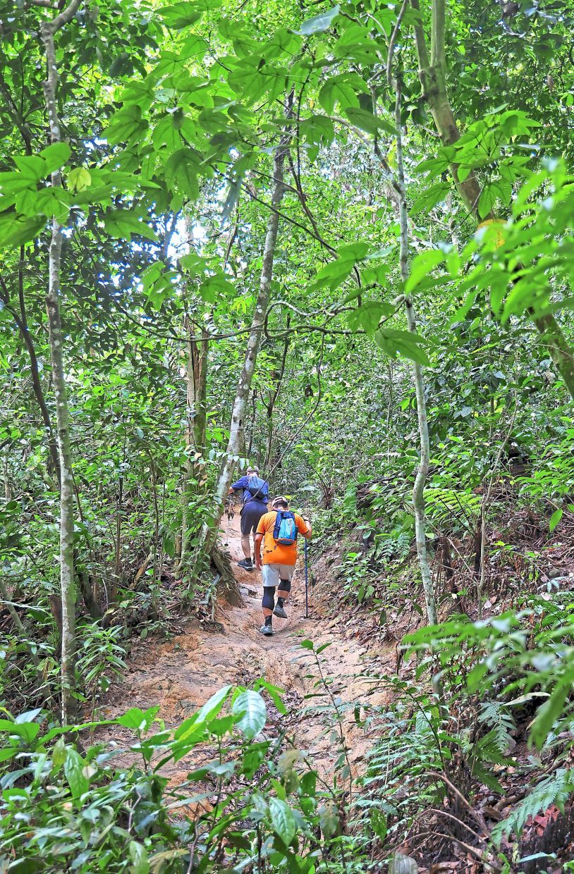 Bukit Kiara Federal Park hiking trail.— MUHAMAD SHAHRIL ROSLI/The Star