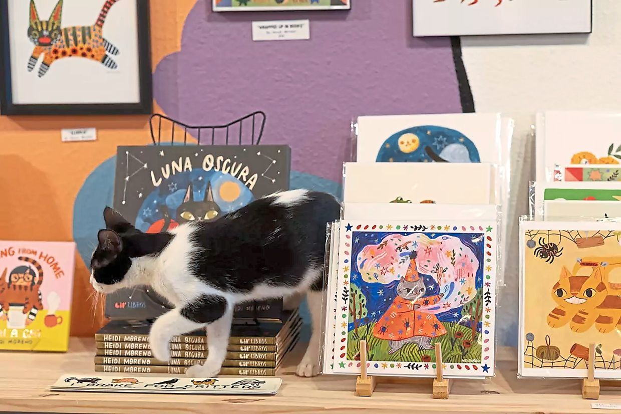 Foster kitten Sesame walks around a display in the store. (Juliana Yamada/Los Angeles Times/TNS)