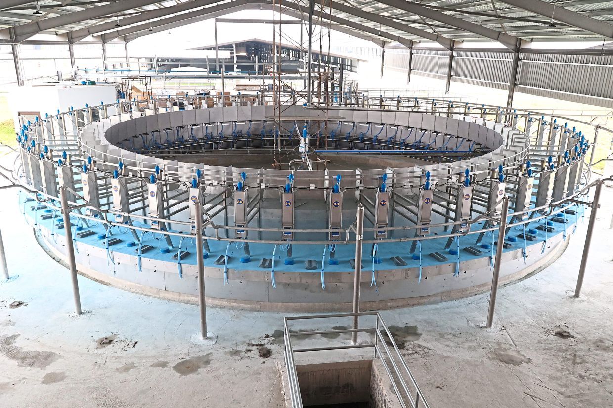 The state of the art Diarymaster rotary milking parlour which is still under construction would be completed by December next month at Jemaluang Diary Valley in Mersing, Johor. — THOMAS YONG/The Star