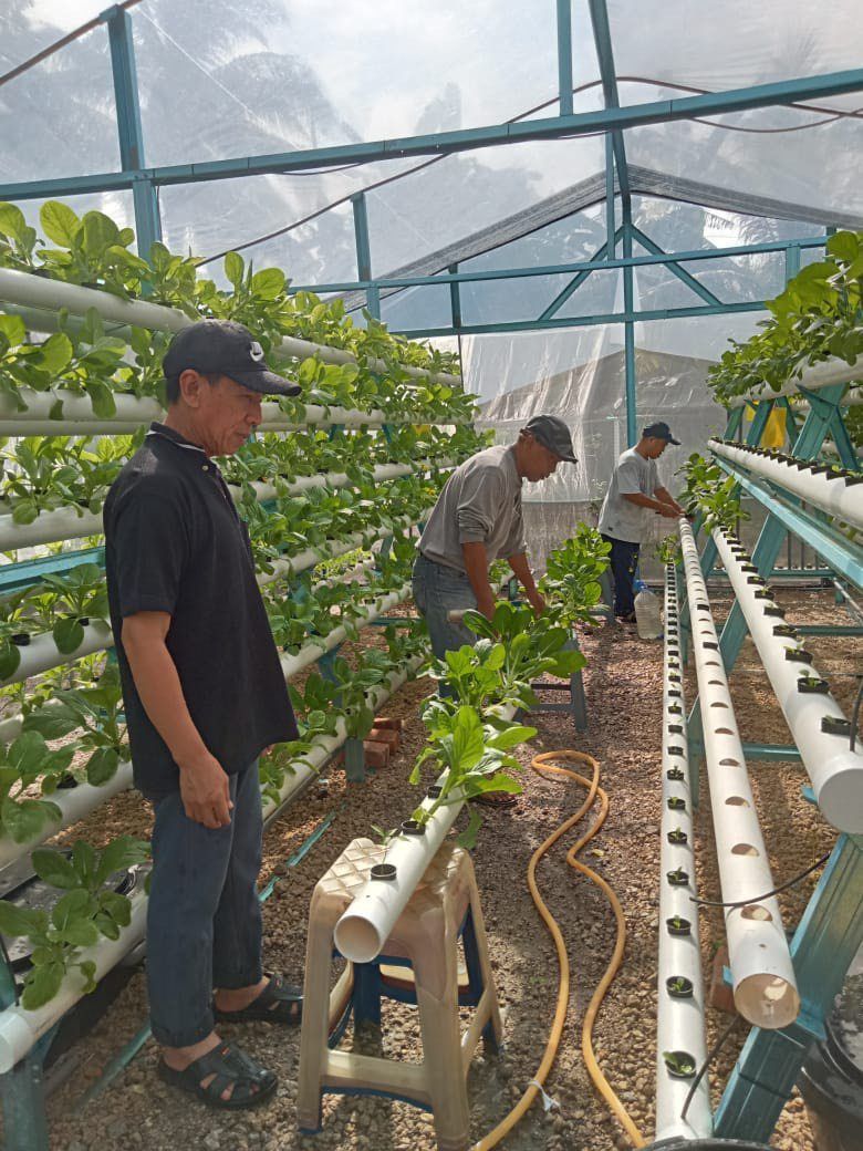 Residents of Jasa Apartment carrying out maintenance of the hydroponic system.